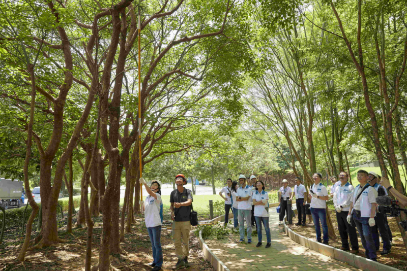 藝師教導大家認識樹木、檢查樹的健康狀況，學習修枝及碎枝覆土